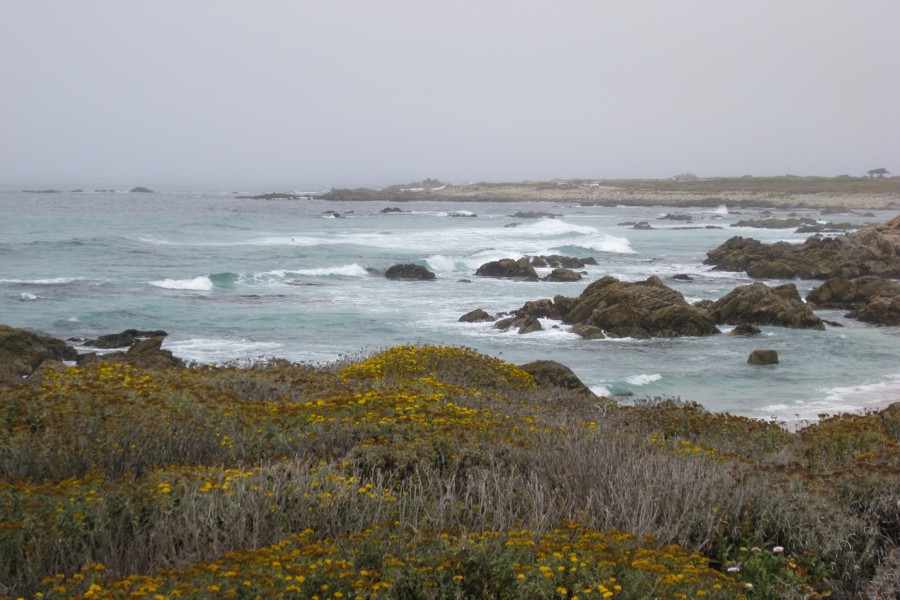 ../image/17 mile drive 2.jpg